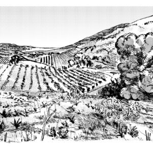 Mercredi 02 septembre 2026 - Blancs du Sud