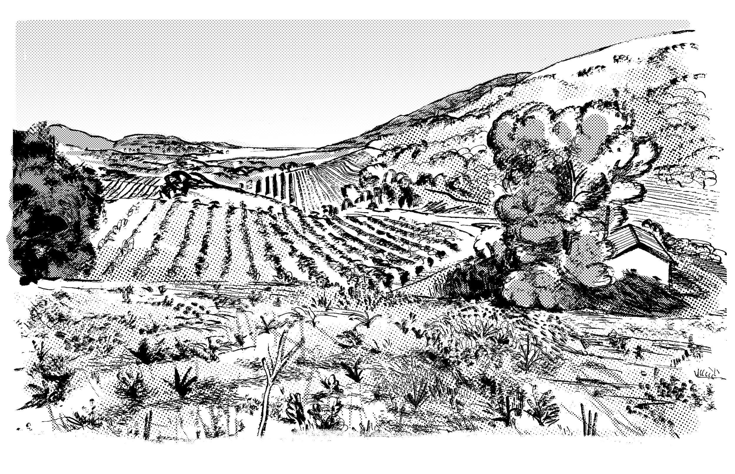 Mercredi 02 septembre 2026 - Blancs du Sud – Image 1
